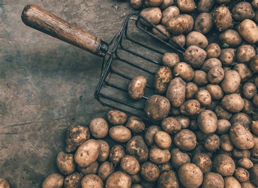 19 Songs about Potatoes - Singersroom.com