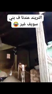 التريند عندنا ف بني سويف غير 😂 | BNS Society