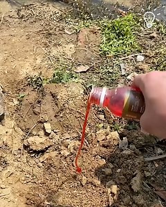 Easy scent hack to catch more fish! | DIY Panda