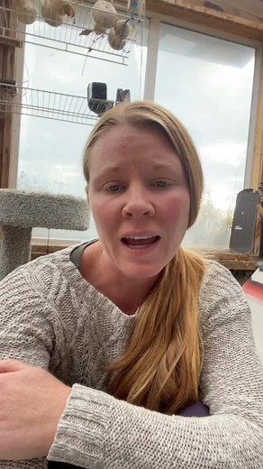 3.4K views · 880 reactions | Deep Root Connections on Reels | Facebook