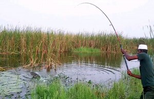 Really unique fishing catch fish #fish #fishing | Zero Excuses