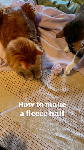 DIY Fleece Cat Toy Ball 🪩 Materials Needed: • A strip of fleece fabric (30 cm x 5 cm / approx. 12” x 2”) • Scissors • String or strong thread Instructions: 1. Take a piece of fleece fabric measuring approximately 30 cm long and 5 cm wide. 2. Fold the strip in half lengthwise (so it becomes 30 cm x 2.5 cm). 3. Starting from the folded edge, make small cuts about every 0.5 cm (¼ inch), going almost all the way through to the other side, but not cutting all the way across. These should be like fri