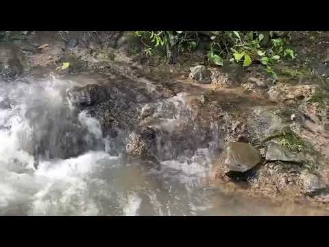 Water Flow ASMR | Relaxing River Sounds for Perfect Sleep & Meditation
