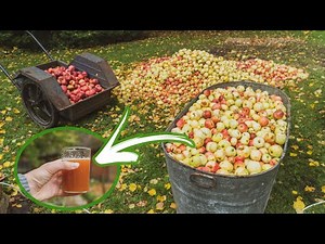 HOMEMADE Apple Juice (Full Process)