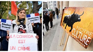France : pro et anti-corrida manifestent avant un vote dans l’arène de l’Assemblée nationale - RTBF Actus