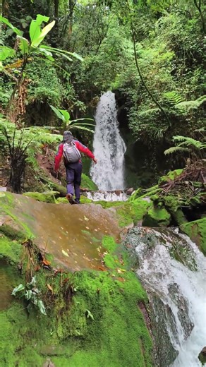 Kesegaran Curug Lumut Ciwidey 🌿 #curuglumut #pendaki #ciwidey #curug #hiking #gunung #pendakigunung