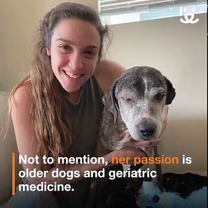 21K views · 2K reactions | Adopting a dog who has a life-long (and expensive) skin condition would deter many adopters, but not Dr. Zoe! Being a veterinarian, Zoe knew that she could help give him the medical care that he needed and the love that he deserved. Hubie's happy face says it all: together, they are the PERFECT fit! ❤️ -katheryn | Best Friends Animal Society | Facebook