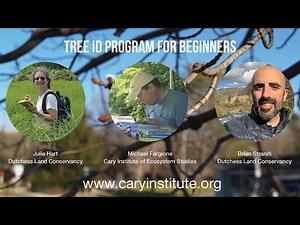 Tree ID Program for Beginners