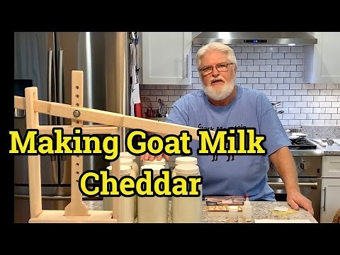 Making Goat Milk Cheddar Cheese