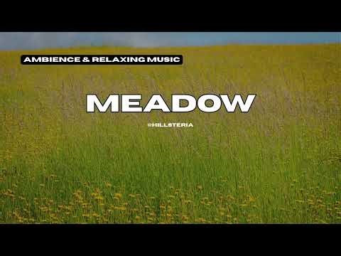 Meadow – Relaxing Ambient Music for Focus, Meditation & Stress Relief