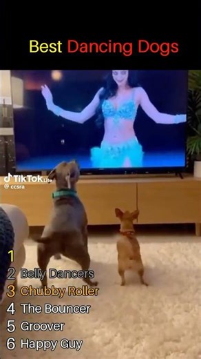 Best Dancing Dogs Ranked