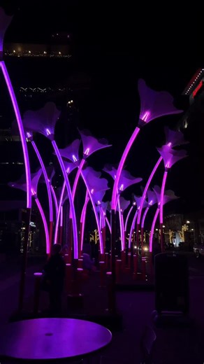 Illuminate Art Walk hosted by @downtownraleighalliance starts tonight ✨! This self-guided, interactive, free holiday art walk features large-scale light installations all around Downtown Raleigh. You can find the full map and details on their website, and they’re also offering guided tours on Saturdays! Save this post and tag your holiday buddies for some wholesome fun and @lindaeatsworld for more Raleigh gems. Website: https://downtownraleigh.org/illuminate #visitraleigh #ncblogger | Girl Eats 