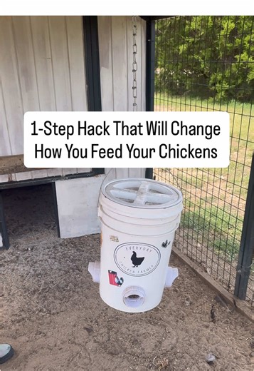 Easy Fix for Feed Hitting the Floor in Chickens