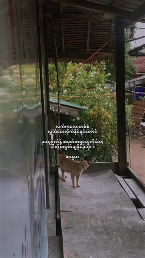 အဆင်မပြေပါဘူးလေ