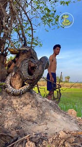 30K views · 145 reactions | Big Python Snake On The Way #snaketv #snake #snakefb #snakeclip #lovesnake #snakecare #snakeaction #snakereels #snakevlog #snakelover #snakevideo #reelschallenge #reels #reelsfbシ #reelsfb #usa #japan #fbreels #funny #prank #viral #boom #newvideos #snake2024 #magic #canada #boom2024 | Snake TV | Facebook