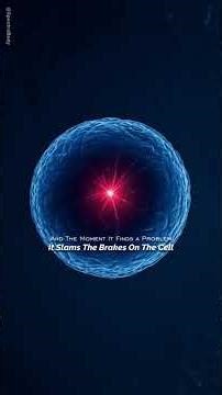 How Your Body Stops Cancer Before It Starts