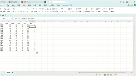Excel 计算算数据总和（SUM）及排名（RANK）