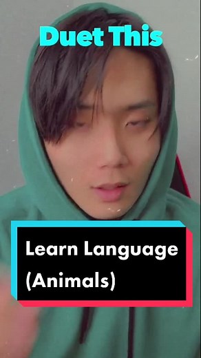 Duet in Your Language or Korean! Learn Korean & Language Learning