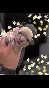 26 reactions · 3 comments | We’re coming for you 2025! This year we...