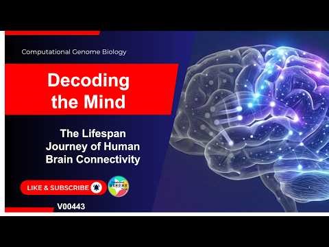 The Brain's Lifespan Journey | V00443