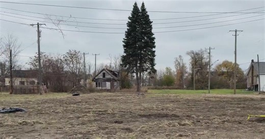 Two groups working to make Detroit lot into thriving green space