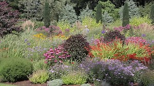 Bressingham Steam & Gardens on Reels