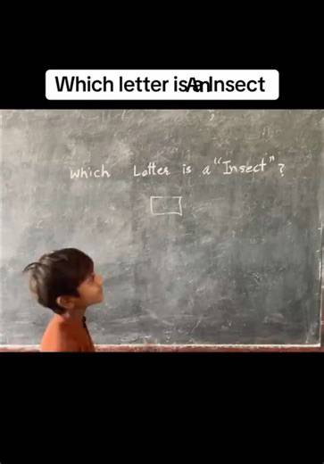 Exploring Insects: Which Letter Represents Them?