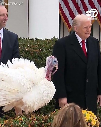 Turkeys Waddle and Gobble receive Trump pardon at White House in annual Thanksgiving ceremony
