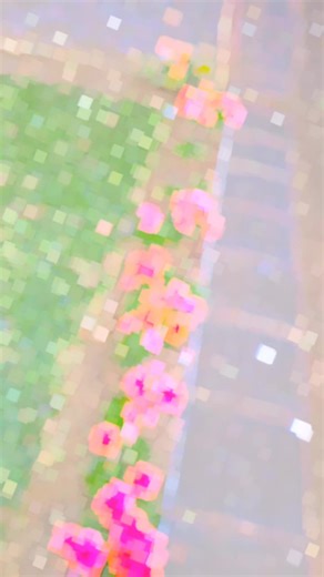 abdul rashid khan on TikTok