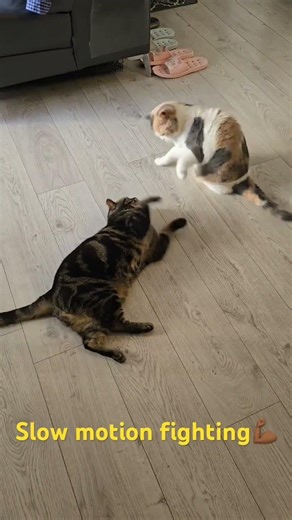 Slow motion fighting💪🏾