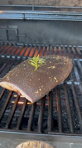 1.8K views · 120 reactions | Anyone else enjoy beaver or muskrat for dinner??? All you need is one beaver tail and a @cabelas pellet smoker at 350 for about an hour. Cut open crispy tail, season and enjoy on toasted bread or by itself!! Taste like bone marrow! @outdooredgeknives #EverythingEichler #FulldrawOutfitters #BeaverTail #FieldToTable #Cabelas #bassproshops #outdooredgeknives #cooking #beaver | Fred Eichler - Fan Page | Facebook