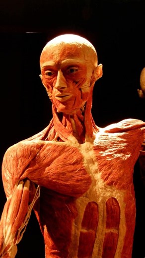 Is it actually the other way around that blood is red? Iron from 3.5 billion years ago