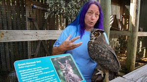Bird hospital patients like Bubba the great horned owl, hawks and cranes delight visitors