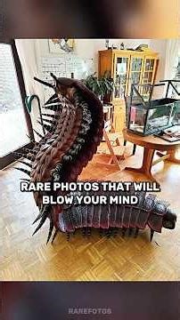 Rare Photos You've Probably Never Seen Before! #shorts