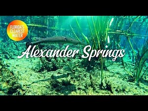 Kayak & Freedive at Alexander Springs | Healing Adventure in Ocala National Forest