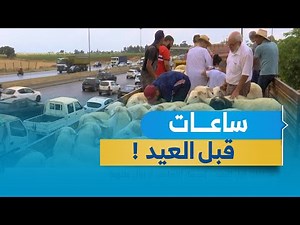 ساعات قبل العيد ..أسعار الأضاحي لاتزال ملتهبة