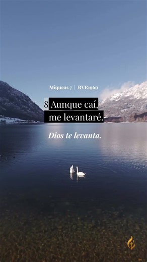 Aunque caí, me levantaré │ Miqueas 7:8 RVR1960