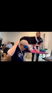 Dr. Søren Boysen demonstrates blindfolded cardiac POCUS using the “drones rock 4 o’clock” approach, with assistance from Dr. Julie Menard. You don’t need eyes if you understand anatomy! 👀 Sign up for our online course or register for a lab to improve your cardiac POCUS skills! Link in bio. #veterinaryeducation #pointofcareultrasound #pocus #veterinarypocus #vpocus | Calgary Veterinary POCUS Training Academy