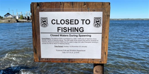 Hatchery Cove partially closed to protect spawning salmon