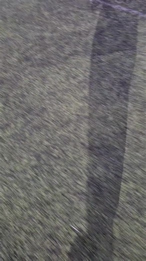 The Fun Coach: A Playful Approach to Training