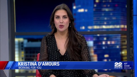 Thunderbirds lose to Checkers in sold-out home opener