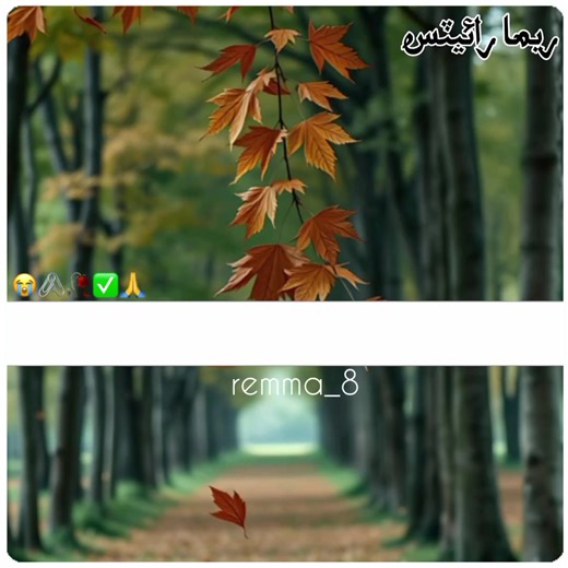 #sindhipoetry #sindhistatus #remma_8 #sindhivirlpoetry #sindhipoetrystatusvideo