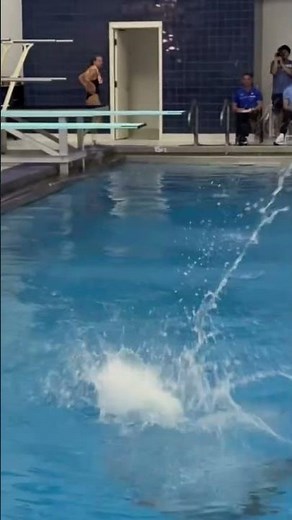 Springboard Diving Drills Every Diver Should Practice #diving #aquatics