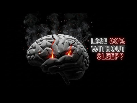 Sleep Deprivation Is Erasing Your Memory The Neuroscience of 80% Loss.