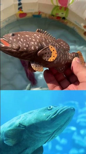 Ocean Animals for Kids: Learn Names and Fun Facts with Sea Creature Toys