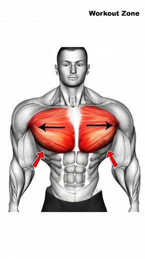 How To Get Bigger Chest 🔥 #exercise #fitness #workout #fit #gym | Workout Zone