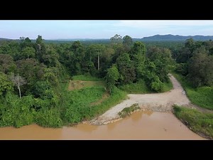 How to Plant a Forest