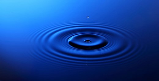 High Reliability Organizations and the Value of a Preoccupation With Failure