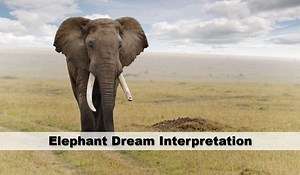 Islamic Meaning: Seeing elephant in a dream