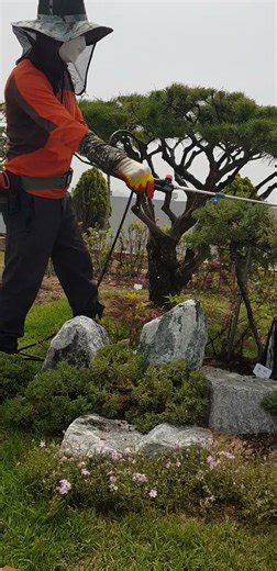 농약주기